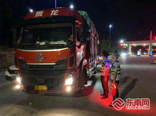 僥幸心理的代價 無證貨運被查獲背后的行業警示