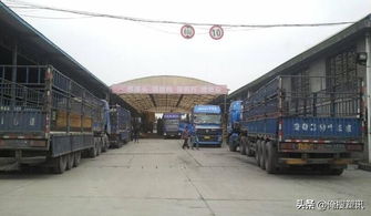 警惕！廢品運輸雷區 違規載貨最高罰十萬，安全合規方能行穩致遠